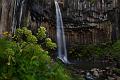 518 - SVARTIFOSS - DE DECKER IVO - belgium